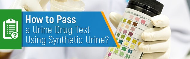 Synthetic Urine Heater Stelton Edison NJ